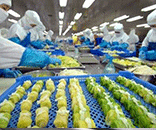 富士通為生鮮食品廠(chǎng)定制潔凈方案，助力食品廠(chǎng)美好環(huán)境建設(shè)